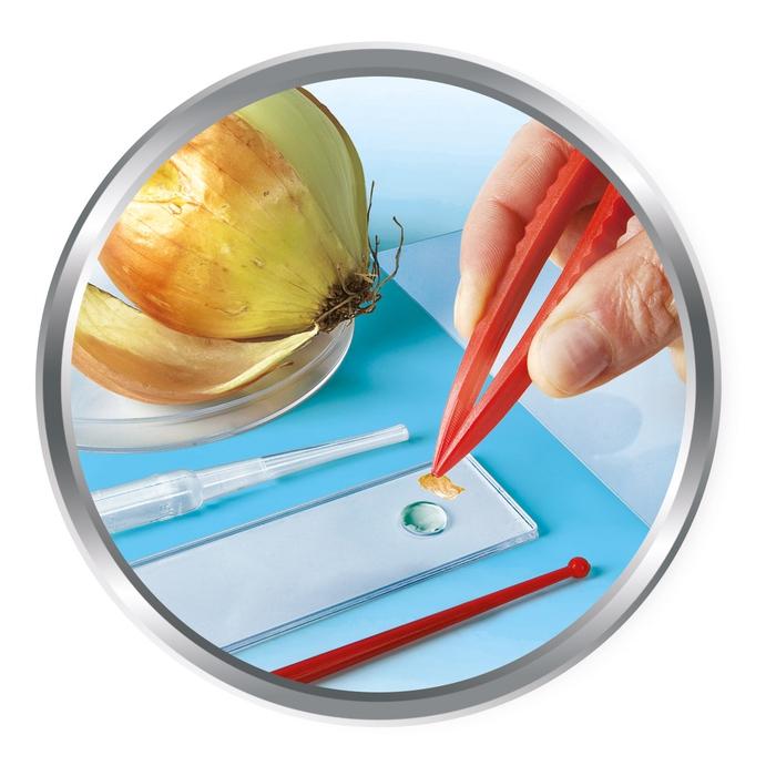 SCIENZE AL MICROSCOPIO - Image 5