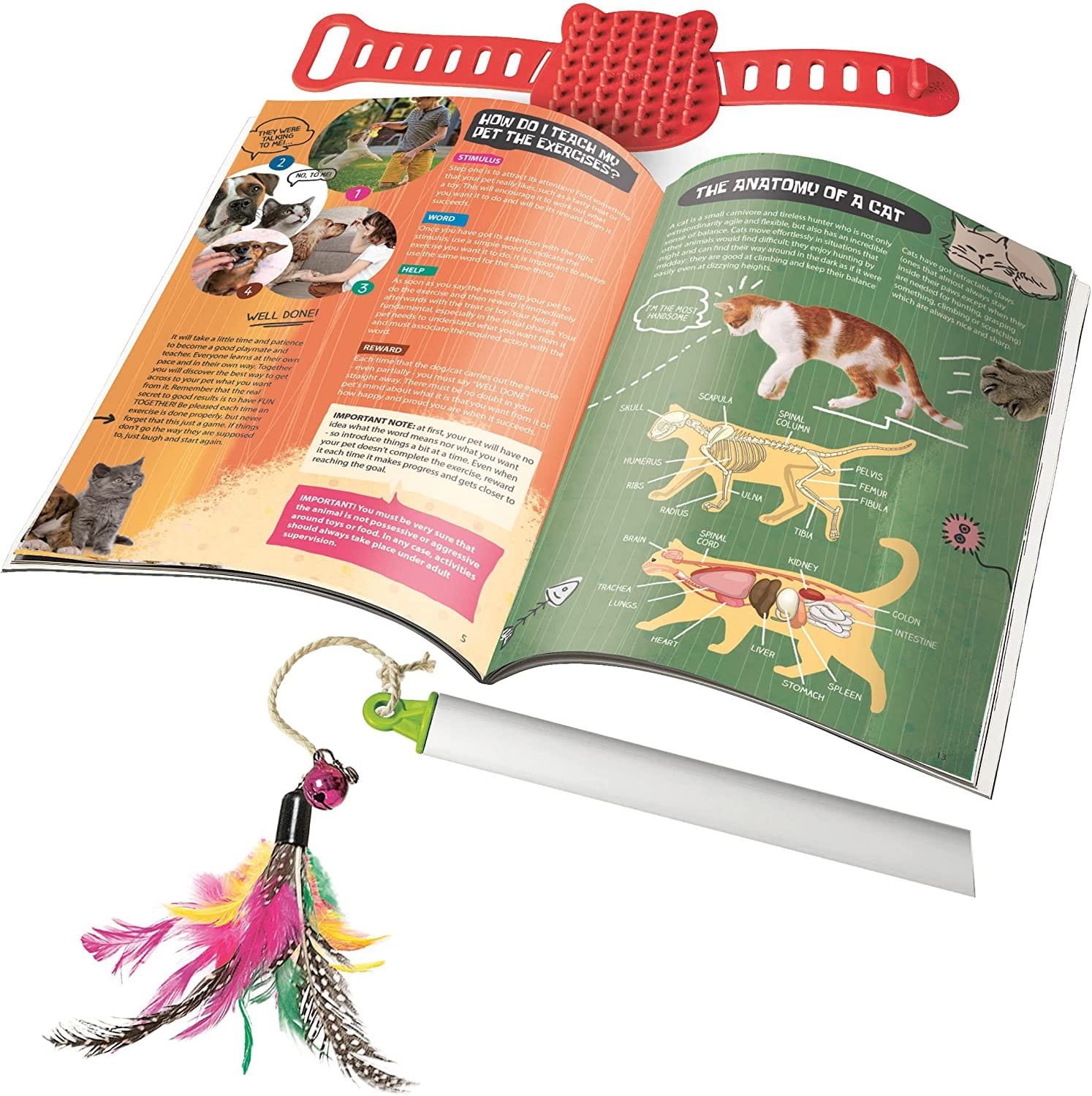 Clementoni 61341 Science & Play-Pet Lab Play for Future-Educational and Scientific Toys, Gift for Kids Age 7, English Version, Multicolour - Image 3