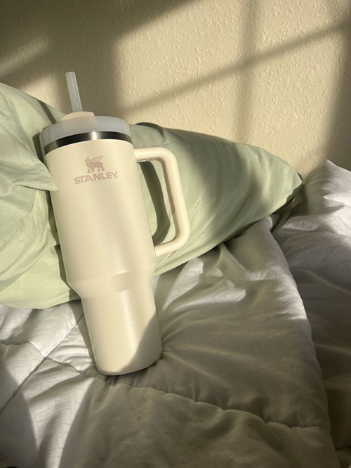 Termus origjinale oz 1.18 L Rose quarz, Black, ivory, Red Stanley - Image 3