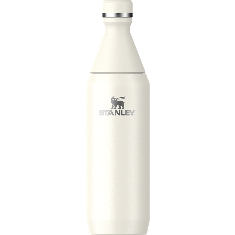 Termus All Day Slim Bottle | 0.59L Stanley - Image 3