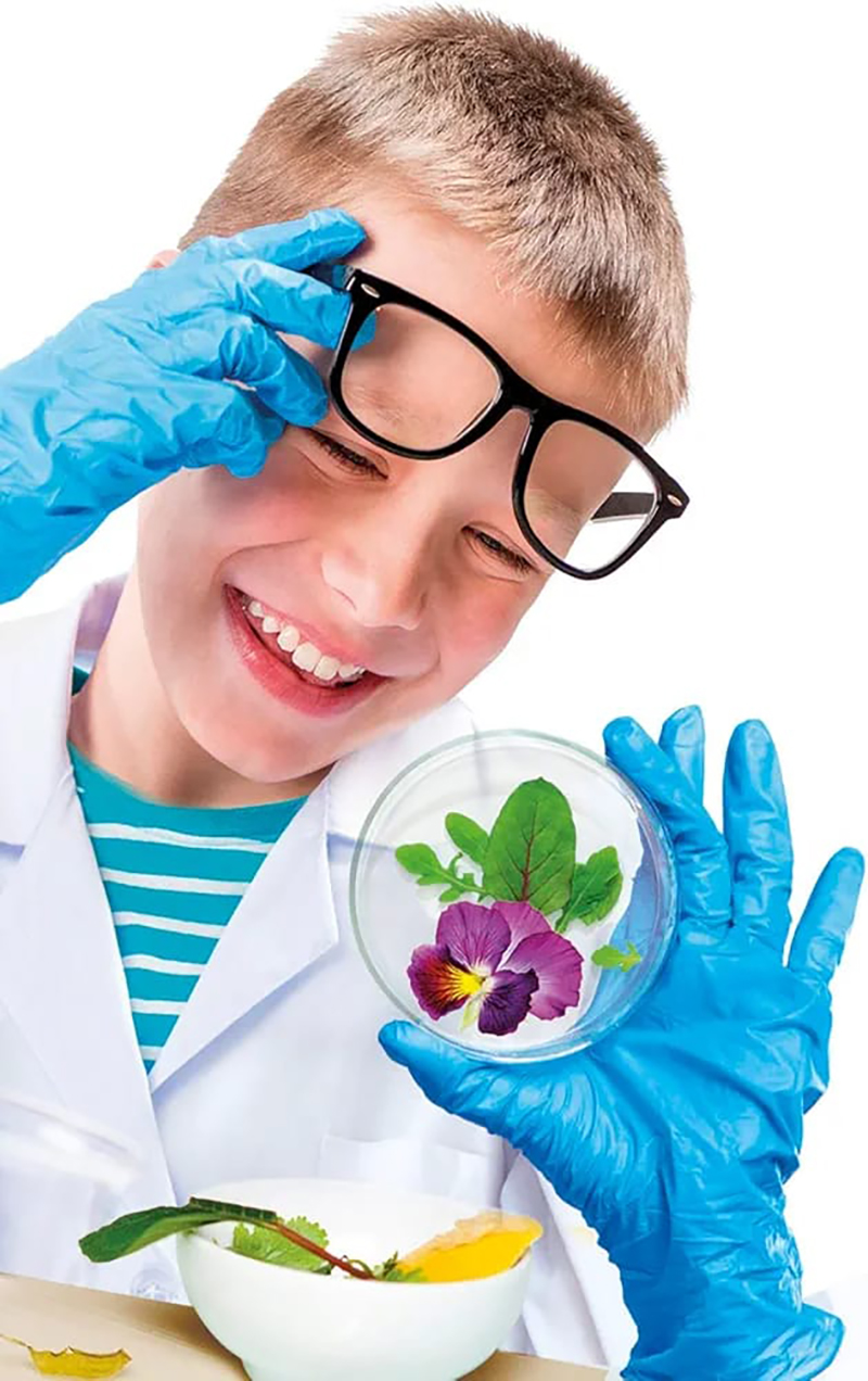 Set Super Microscope 1200x Clementoni - Image 4