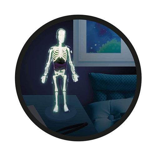 Trupi i njeriut - 2163 - Human Body Buki - Image 4