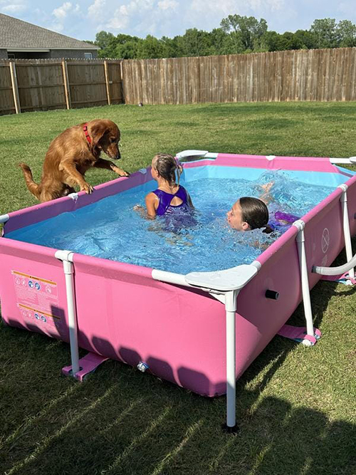 Pishinë rozë Intex 2.2m x 1.5M x 60cm Pink Rectangular Frame Pool, (28266NP) Intex - Image 5