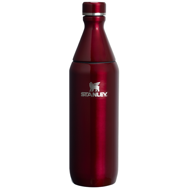 Termus All Day Slim Bottle | 0.59L Stanley - Image 6