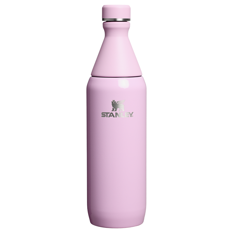 Termus All Day Slim Bottle | 0.59L Stanley - Image 7