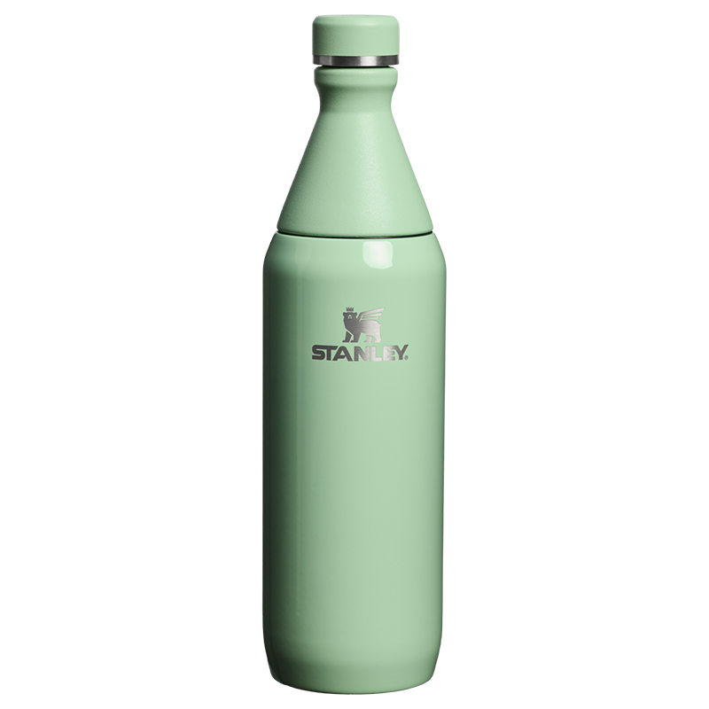 Termus All Day Slim Bottle | 0.59L Stanley - Image 8