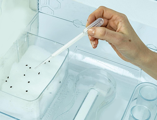 Sera ime High-tech La Mia Serra Hi-Tech, Laboratorio di Botanica Clementoni - Image 6