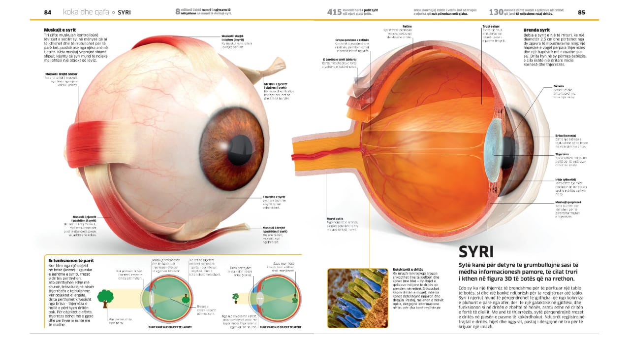 Enciklopedia e madhe e trupit të njeriut - Image 10